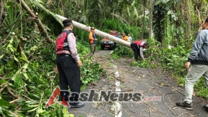 Unit Samapta Polsek Banjarangkan Evakuasi Pohon Tumbang di Jalan Tegal Wangi.