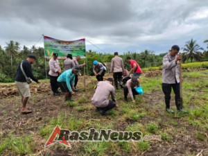 Wakapolsek Selemadeg pimpin penanaman Jagung Serentak Kuartal IV 2025