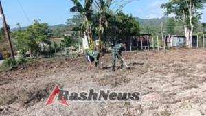 Babinsa Koramil Halilulik Lakukan Pendampingan Bantu Petani Penanaman Bibit Jagung