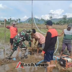Sinergi Babinsa dan Petani Runggu Wujudkan Program OPLAH Pemerintah
