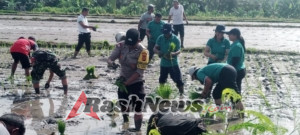 Polsek Sukawati Ikut Serta Dalam Gerakan Percepatan Luas Tanam Padi bersama Kelompok Tani Subak Dauh Uma Ulu