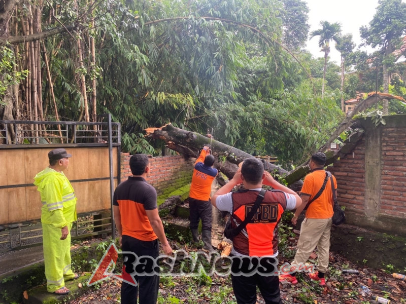 Bhabinkamtibmas Kerobokan Bersama Warga evakuasi Pohon Tumbang