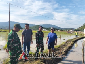 Sertu Ismail Jadi Penengah Sengketa Lahan, Situasi di Desa Beru Berhasil Dikendalikan