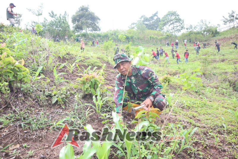 ‎Kodim 1607/Sumbawa Kawal Program Penghijauan Lewat Penanaman Pohon Kemiri