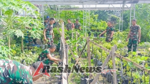 Manfaatkan Lahan Kosong, Danramil 1615-11/Aikmel Pimpin Kegiatan Berkebun Bersama Anggota