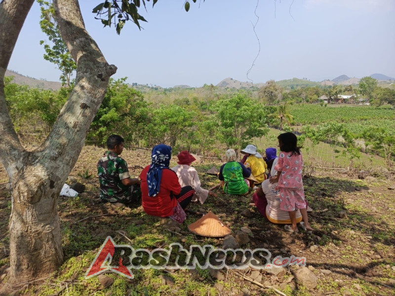 Sinergi TNI dan Petani: Babinsa Woko Pastikan Kegiatan Pertanian Berjalan Aman