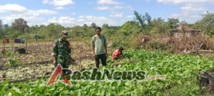 Komsos Babinsa di Desa Suanae, Warga Diajak Maksimalkan Lahan Pertanian
