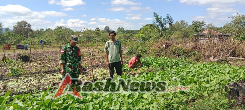 Komsos Babinsa di Desa Suanae, Warga Diajak Maksimalkan Lahan Pertanian