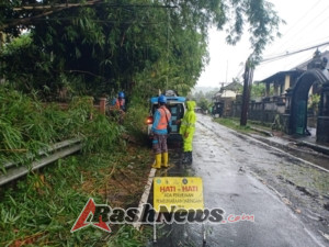 Personel Polsek Klungkung Tanggap Tangani Pohon Bambu Tumbang di Jalan Raya Besakih.