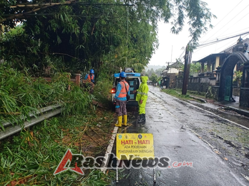 Personel Polsek Klungkung Tanggap Tangani Pohon Bambu Tumbang di Jalan Raya Besakih.
