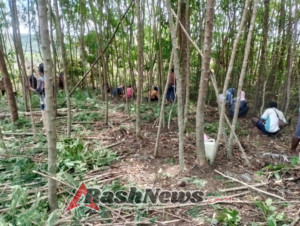Pemberdayaan Lahan Pertanian di Desa Alila Selatan: Peluang Baru bagi Masyarakat