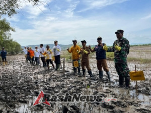 ‎Koramil 1607-12/Moyo Hilir Dukung Gerakan Mangrove untuk Ketahanan Pesisir