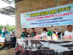 Kerja Sama TNI dan BPP: Babinsa Hadiri Farm Field Day untuk Tingkatkan Produktivitas Hortikultura