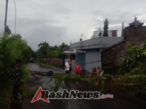 Evakuasi Tiang Telkom Roboh Di Lingkungan Sengguan Berjalan Aman, babinsa Semarapura Apresiasi Sinergi Aparat Dan Masyarakat