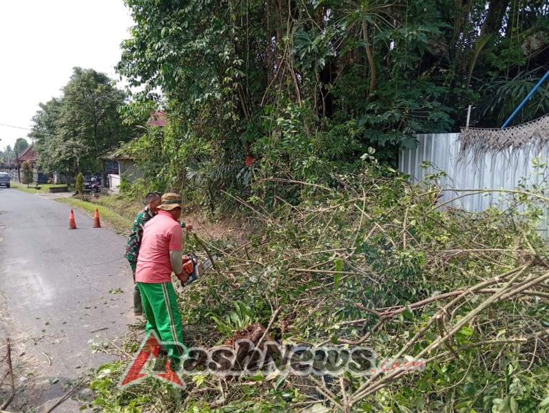 Babinsa Desa Yangapi Kolaborasi dengan DLH Melaksanakan Pembersihan Ranting Pohon Patah di Dusun Metra Kaja guna Pencegahan Kecelakaan