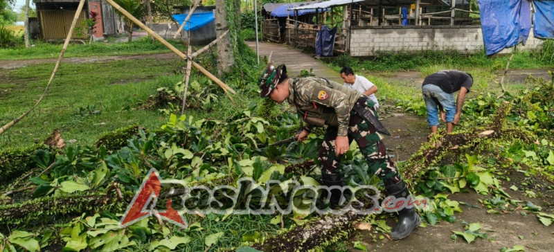 Hadir Atasi Kesulitan Masyarakat, Babinsa Tihingan Turun Langsung Evakusi Batang Kayu Tumbang Bersama Bhabinkamtibmas, Prajuru Dan Warga