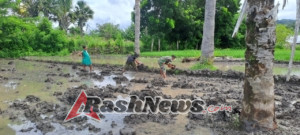Kemanunggalan TNI dan Rakyat Terwujud dalam Kegiatan Hanpangan di Desa Kakaha