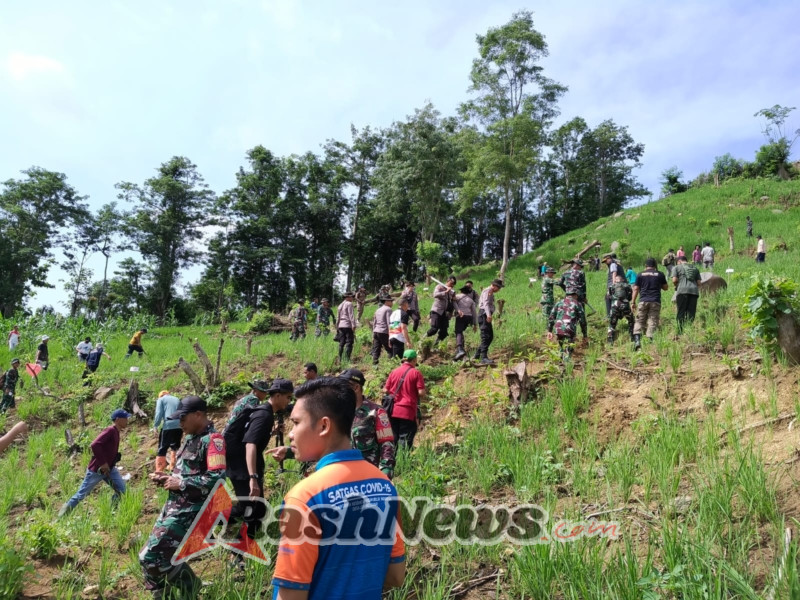 ‎Komitmen Nyata TNI AD, Kodim 1607/Sumbawa Hadir di Gerakan Penghijauan Sumbawa ‎