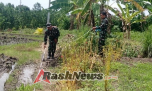 Langkah Nyata Penguatan Ekonomi Desa, Dandim Tabanan Tinjau Lahan Koperasi Merah Putih