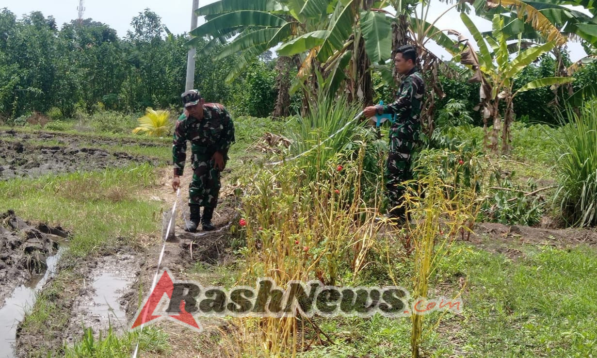 Langkah Nyata Penguatan Ekonomi Desa, Dandim Tabanan Tinjau Lahan Koperasi Merah Putih