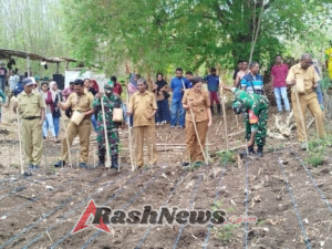 Lahan 15 Hektar Mulai Dioptimalkan, Babinsa dan Pemda Alor Turun Langsung di Pante Deere
