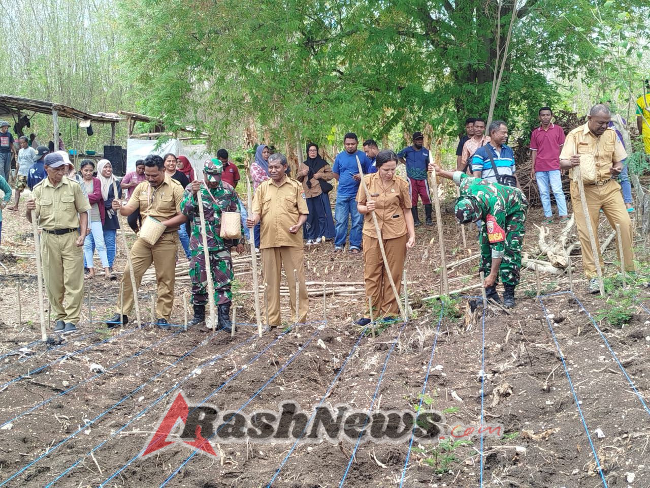 Lahan 15 Hektar Mulai Dioptimalkan, Babinsa dan Pemda Alor Turun Langsung di Pante Deere