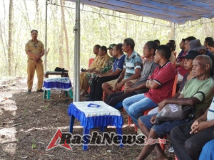 Tingkatkan Ketahanan Pangan, Babinsa dan Dinas Pertanian Gelar Penanaman Padi Perdana di Pante Deere