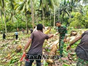 TNI dan Warga Bergerak: Lahan Koperasi Merah Putih di Bura Bekor Ditata untuk Pusat Ekonomi Baru