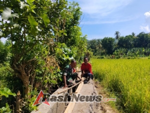 Tingkatkan Produktivitas Pertanian, Babinsa Tou Barat Aktif Dampingi Kelompok Tani