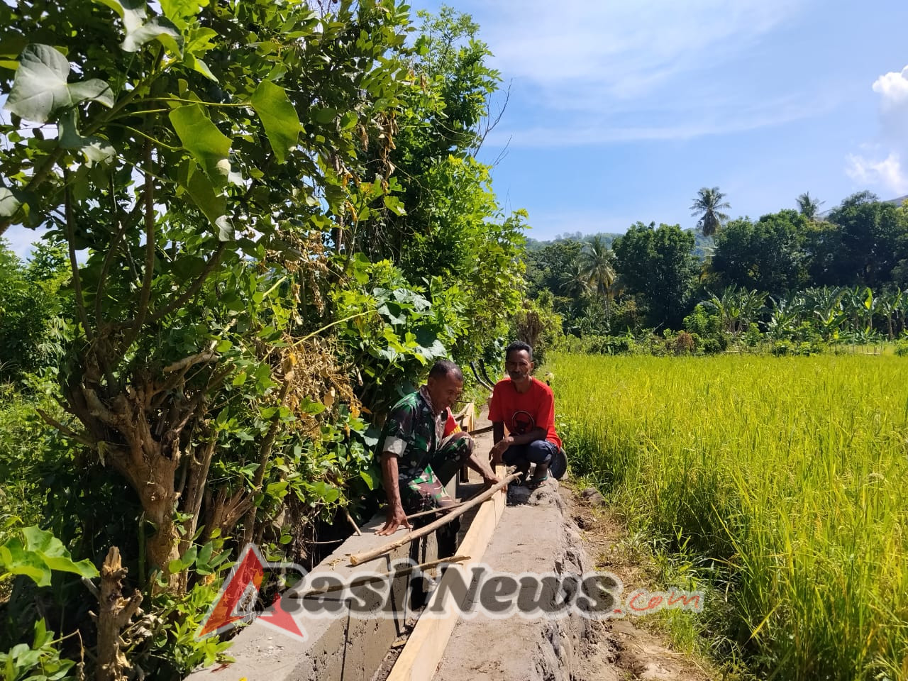 Tingkatkan Produktivitas Pertanian, Babinsa Tou Barat Aktif Dampingi Kelompok Tani