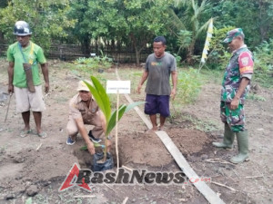 Sinergi TNI dan Dinas Pertanian, Babinsa Turut Sukseskan Program Perkebunan di Ende
