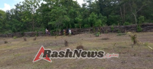 Selalu Ada Di Tengah-Tengah Masyarakat, Babinsa Kodim 1621 TTS, Bantu Petani Tanam Jagung