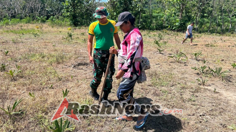 Gotong Royong Satgas dan Warga Alas Selatan Wujudkan Lahan Produktif