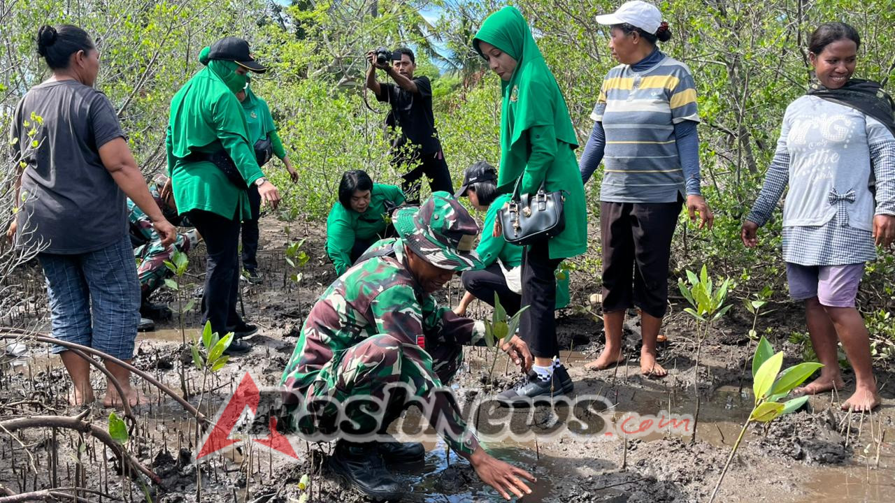 Kasdim 1603/Sikka Pimpin Penanaman Mangrove sebagai Upaya Mitigasi Abrasi Pantai