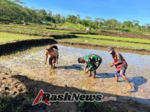 Kapten Said Abdullah Tinjau Lokasi Strategis Pembangunan Koperasi Desa