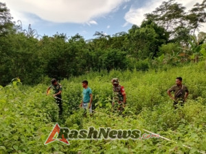 Kapten Said Abdullah Tinjau Lokasi Strategis Pembangunan Koperasi Desa