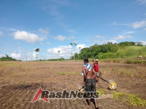 Tingkatkan Kemanunggalan, Babinsa Ikut Dampingi Petani Tanam Padi di Sumba Tengah