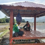 Komsos Babinsa Dompu Tekankan Pentingnya Ketertiban dan Kerja Sama Petani