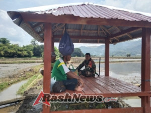 Komsos Babinsa Dompu Tekankan Pentingnya Ketertiban dan Kerja Sama Petani