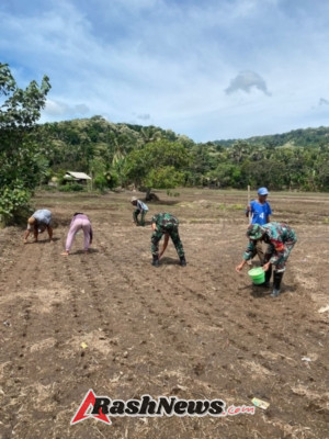 Babinsa Wulanggitang Turun Langsung Bantu Petani di Desa Boru