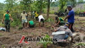Satgas Pos Salore Tanam 1.000 Pohon Porang Bersama Warga Desa Tulakadi