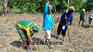 Gotong Royong Satgas Pos Motamasin dan Warga Perbatasan Tanam Komoditas Jagung