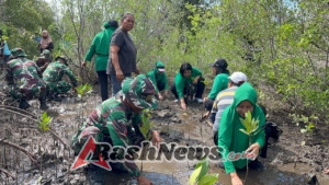 Jaga Ekosistem Pesisir, Kodim 1603/Sikka Gelar Penanaman Mangrove Bersama Warga Magepanda