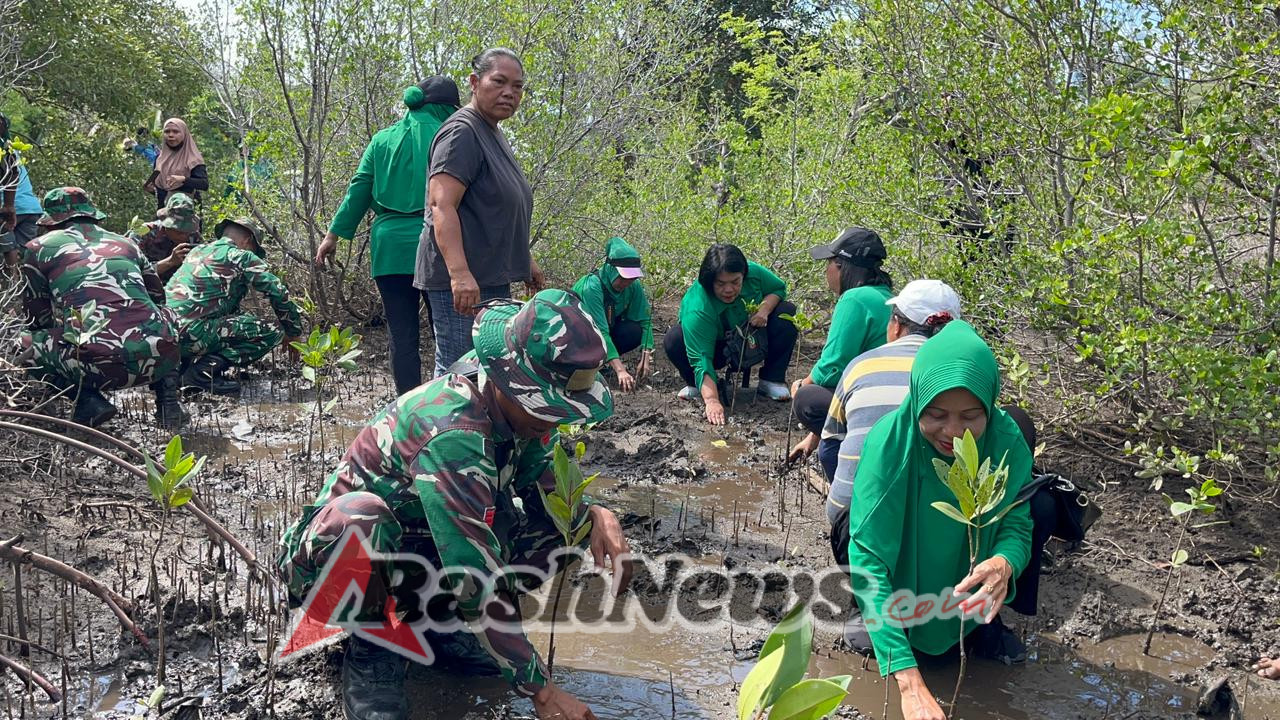 Jaga Ekosistem Pesisir, Kodim 1603/Sikka Gelar Penanaman Mangrove Bersama Warga Magepanda