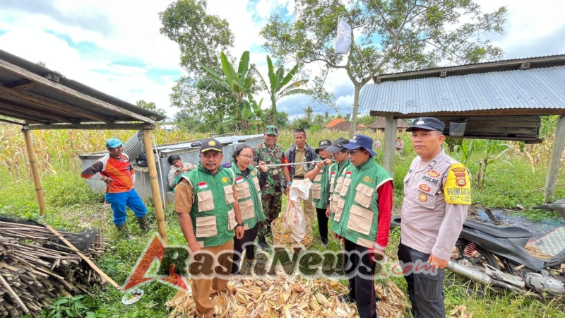 Bhabinkamtibmas Desa Landih Dampingi Pelaksanaan Ubinan Jagung Varietas Hibrida Sry Agung dan Jakarin dalam Mendukung Ketahanan Pangan