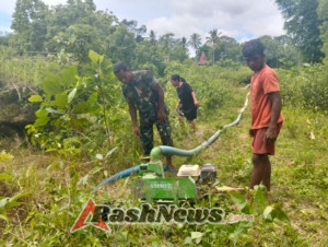 Sinergi TNI dan Petani, Babinsa Sertu Samuel Bantu Pengelolaan Bibit Padi di Sobarade