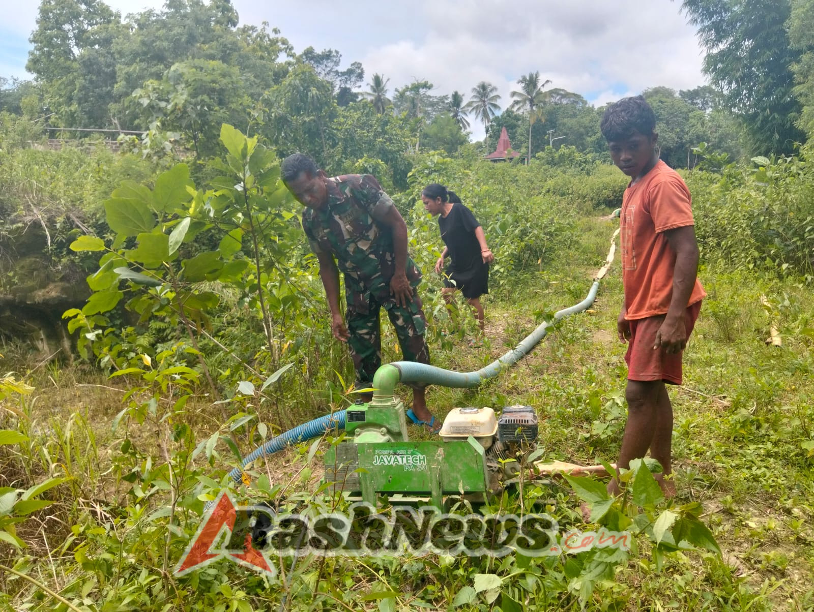 Sinergi TNI dan Petani, Babinsa Sertu Samuel Bantu Pengelolaan Bibit Padi di Sobarade