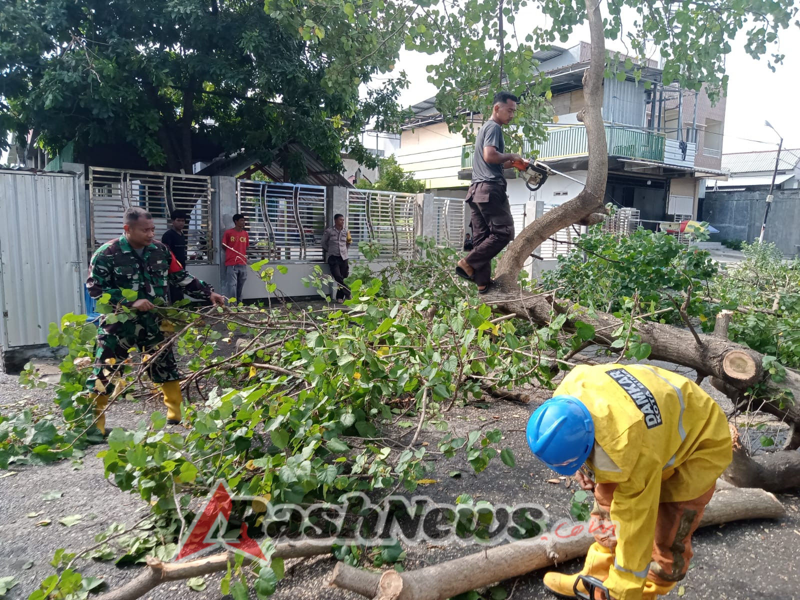 Petugas Damkar Bersama Babinsa Bersihkan Jalan Monginsidi Setelah Pohon Tumbang