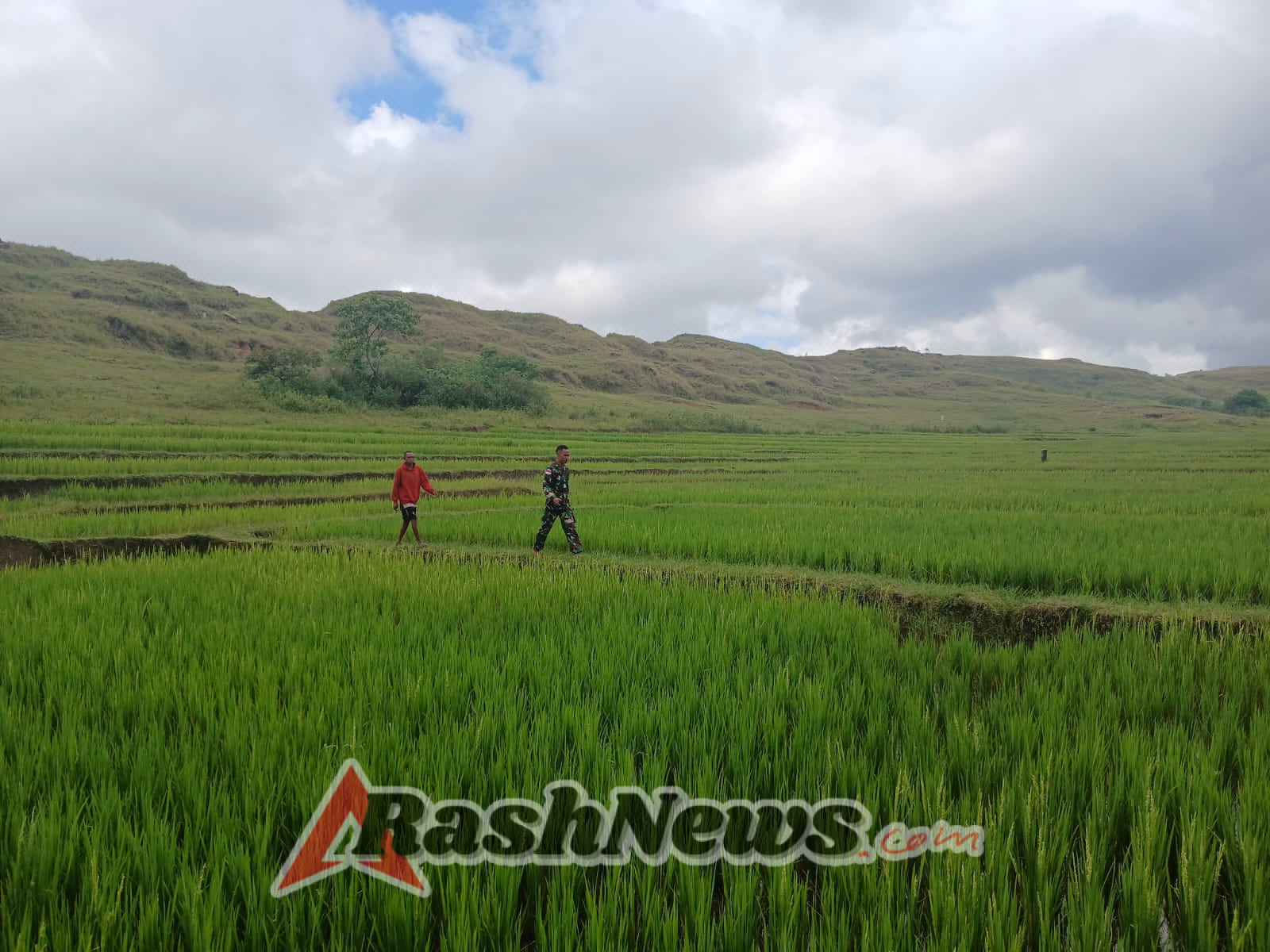 Babinsa Gelar Pendampingan Ketahanan Pangan untuk Tingkatkan Produktivitas Warga Praibokul