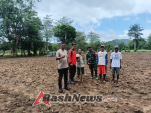 Babinsa Koramil Atapupu Bersama Bhabinkamtibmas Dampingi Petani Tanam Jagung